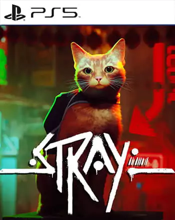 Stray
